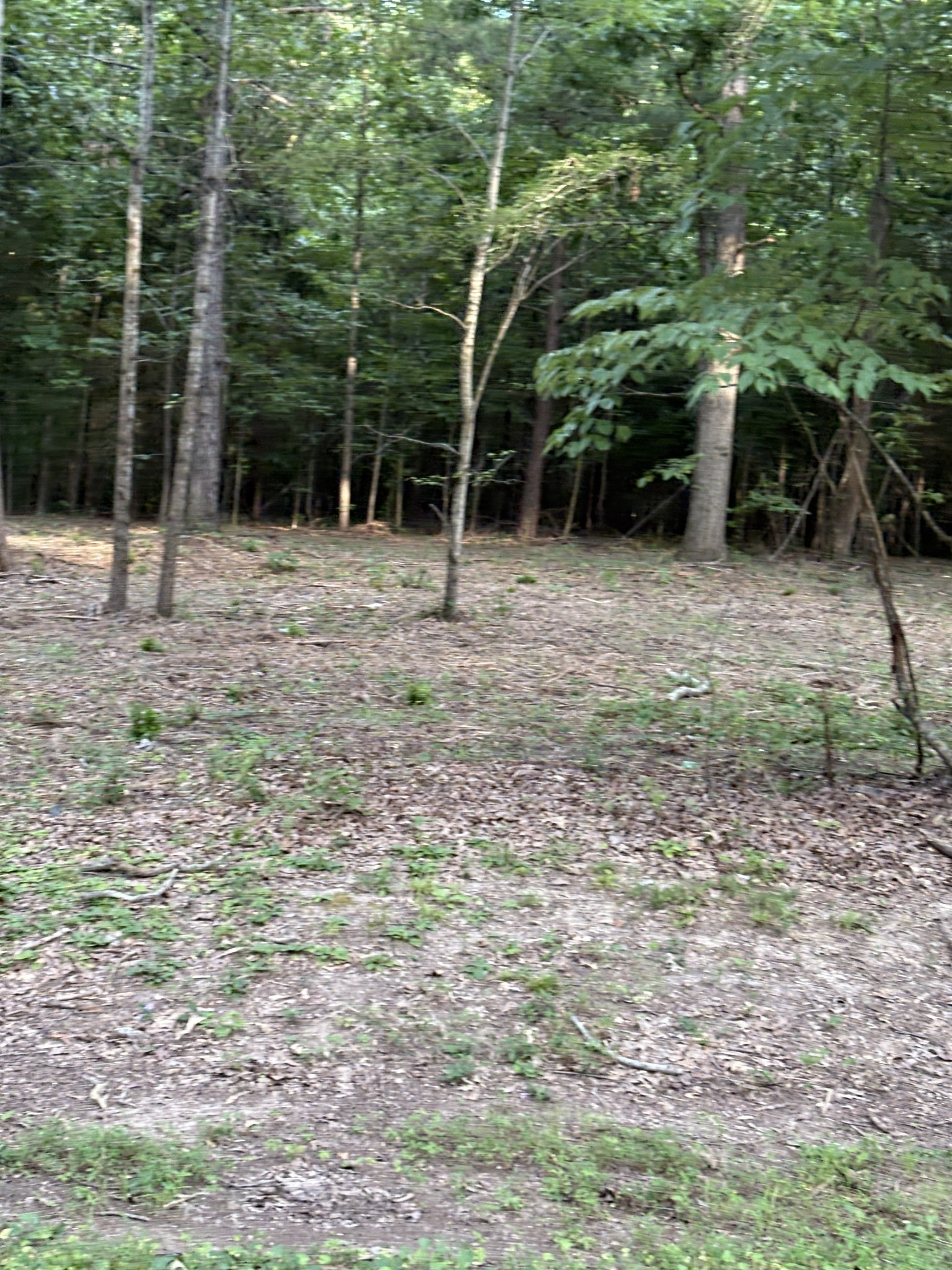 0 Iron Hill Road Burns, TN 37029 - Photo 5 of 18 a backyard of a house with lots of green space