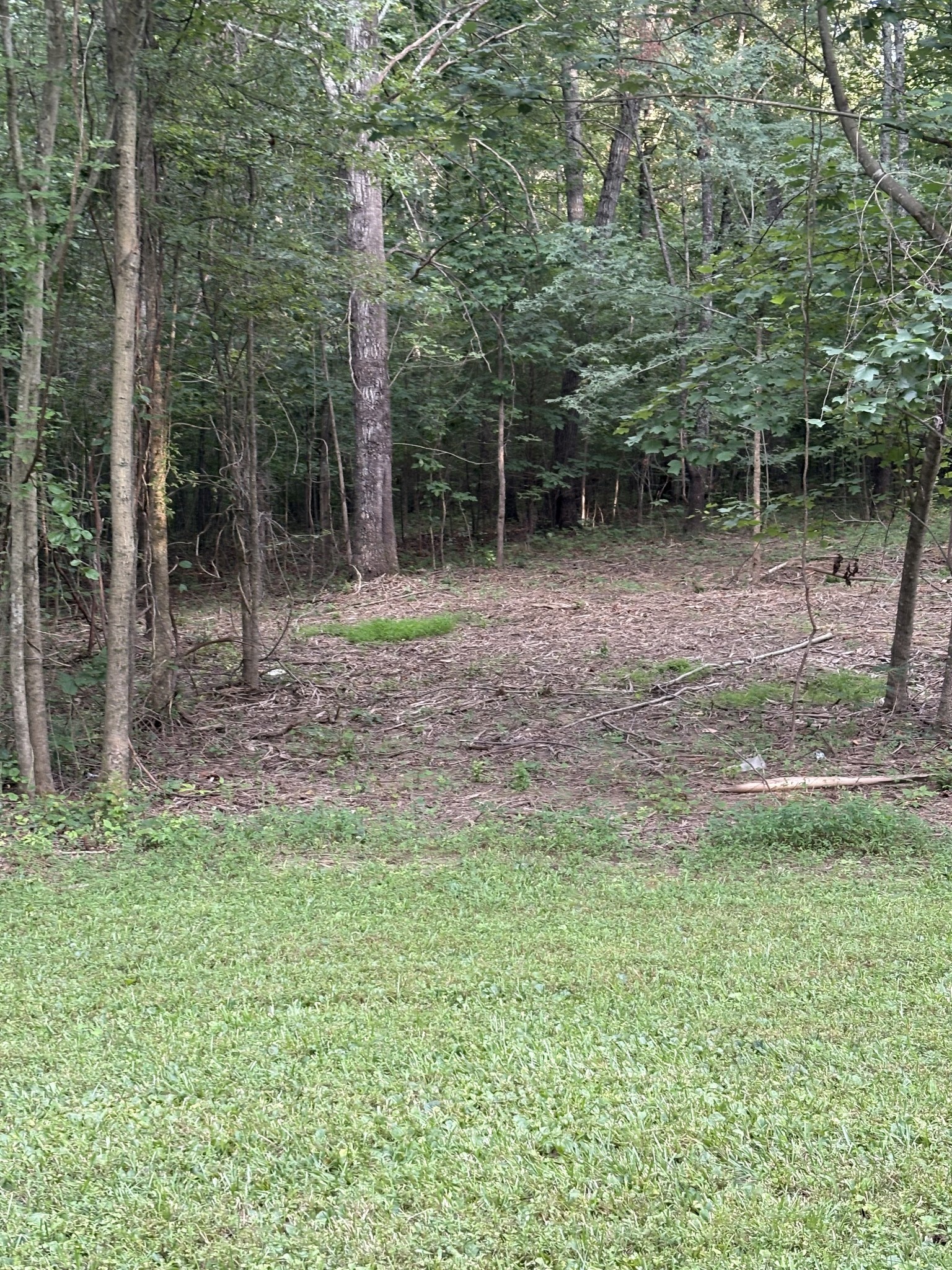 0 Iron Hill Road Burns, TN 37029 - Photo 6 of 18 a backyard of a house with lots of green space