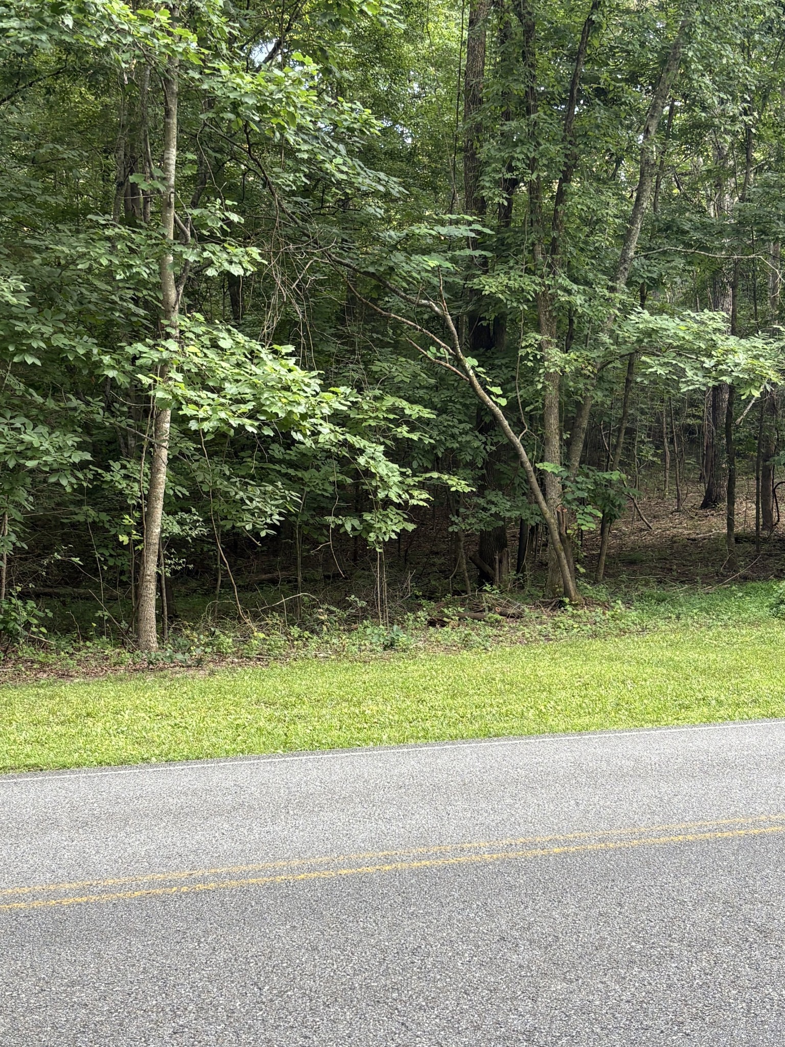 0 Iron Hill Road Burns, TN 37029 - Photo 10 of 18 a small green field with some trees in front of it
