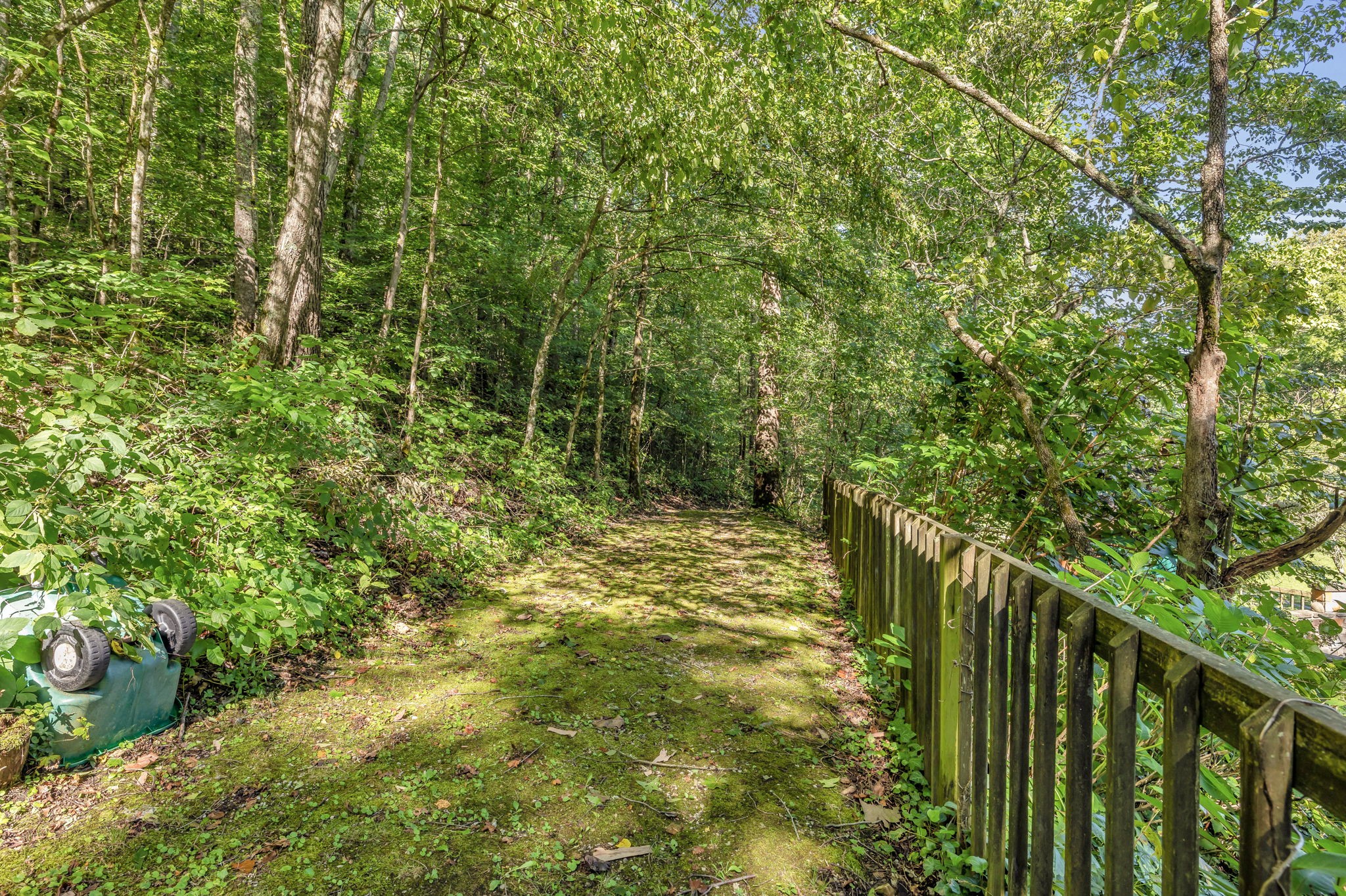 7491 Caney Fork Road Franklin, TN 37064 - Photo 28 of 69