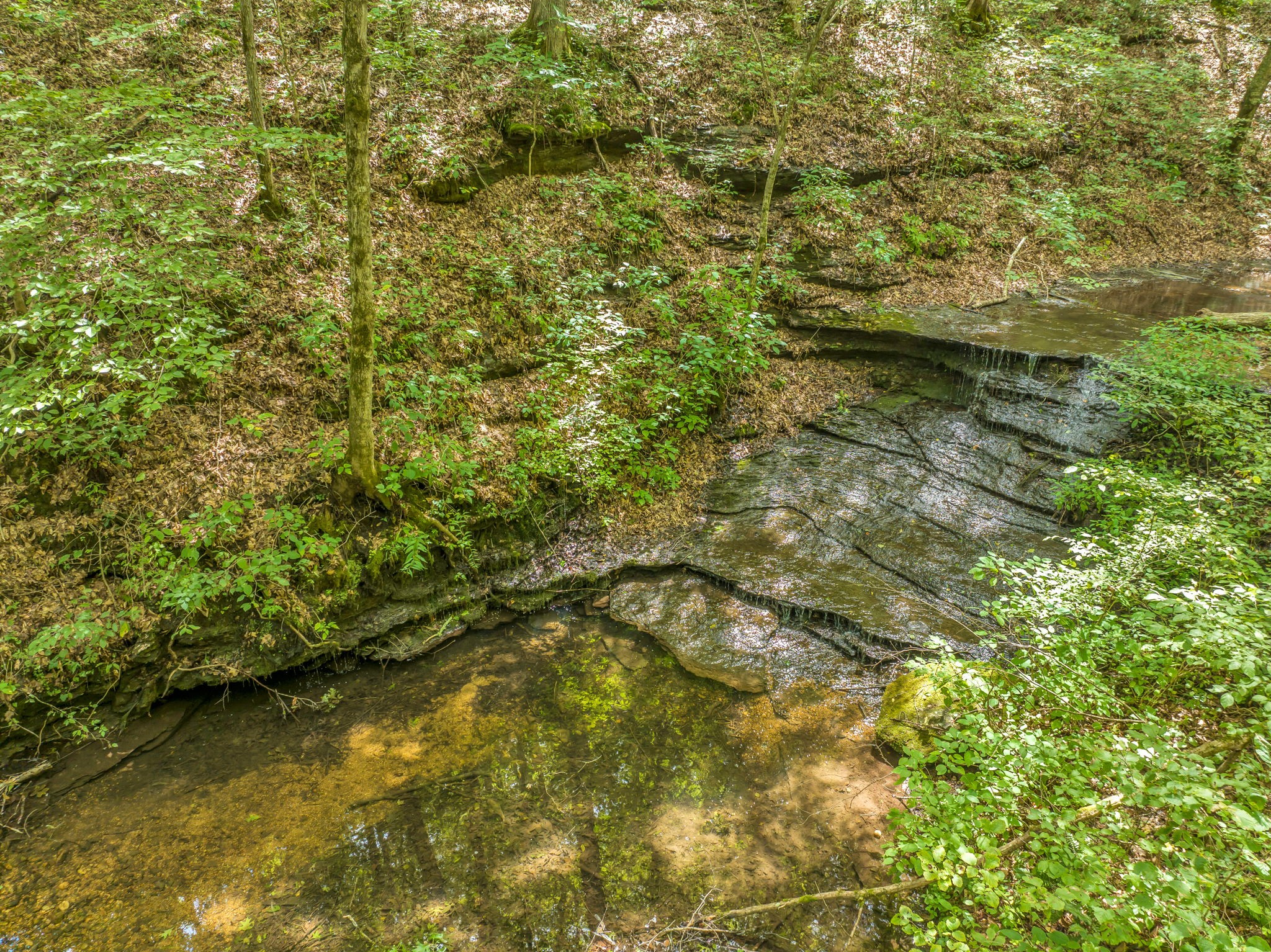 7491 Caney Fork Road Franklin, TN 37064 - Photo 5 of 69