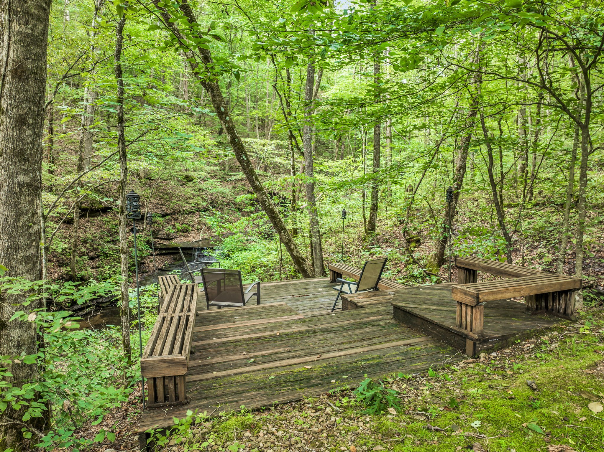 7491 Caney Fork Road Franklin, TN 37064 - Photo 54 of 69