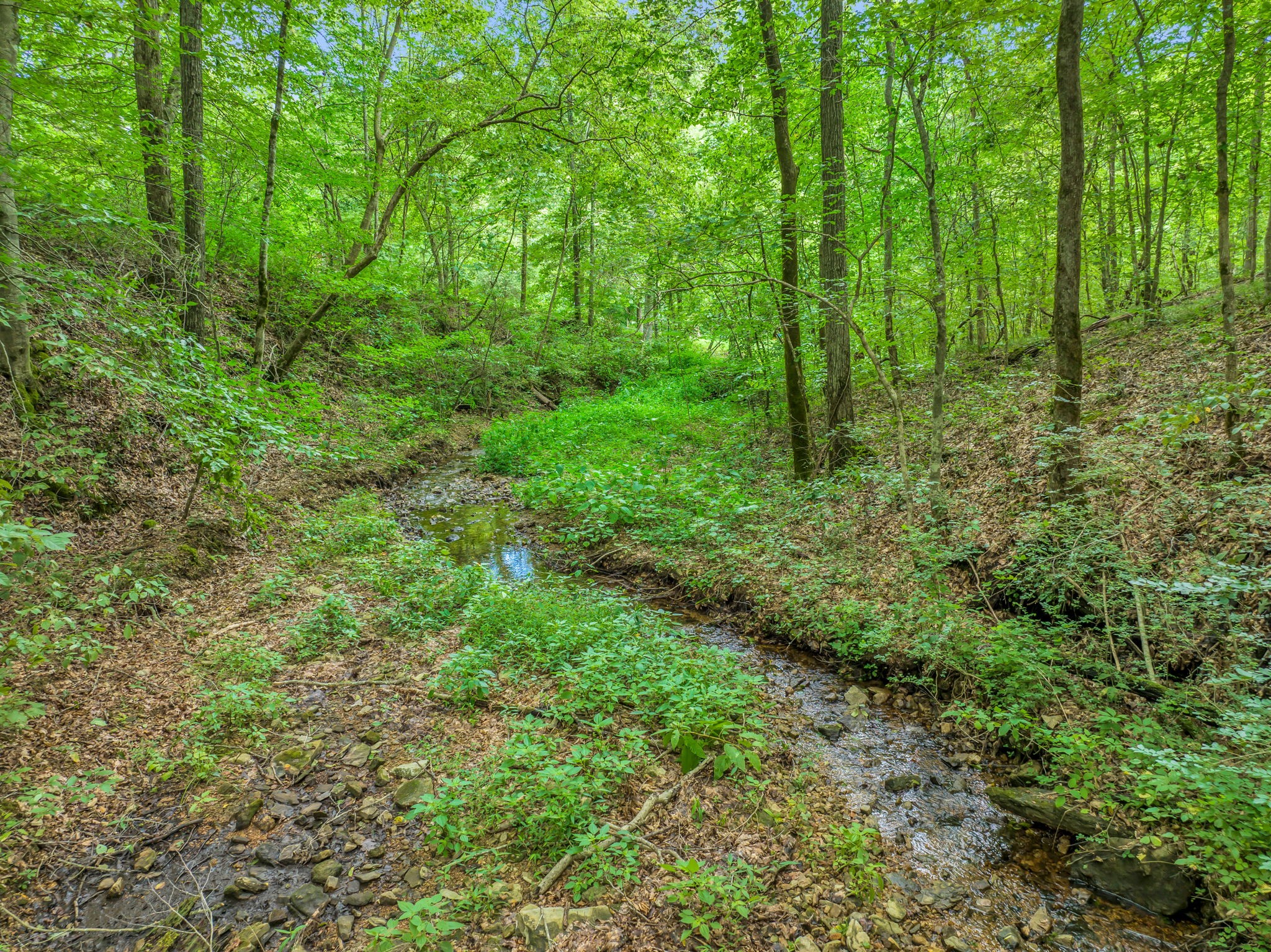 7491 Caney Fork Road Franklin, TN 37064 - Photo 56 of 69