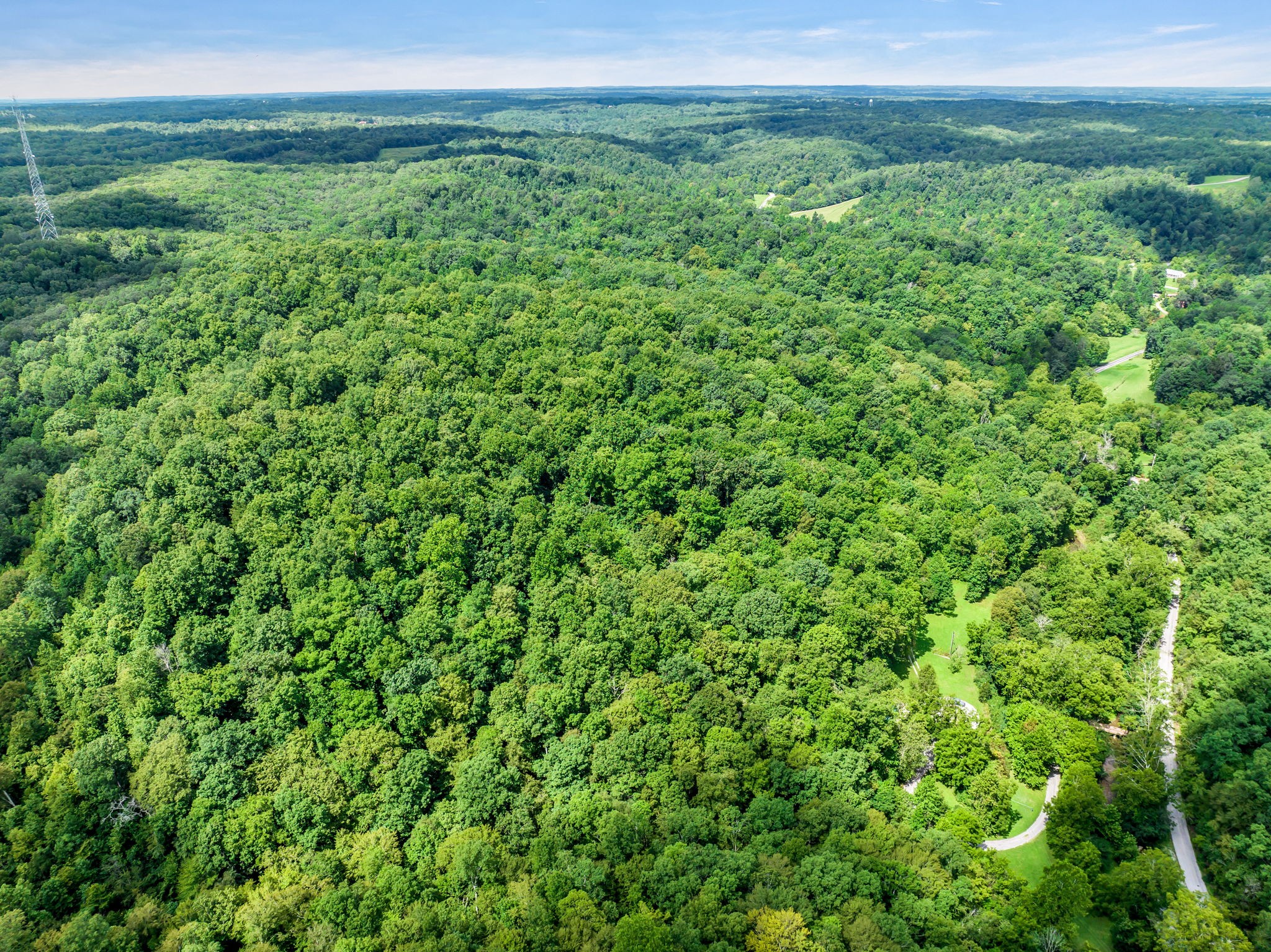 7491 Caney Fork Road Franklin, TN 37064 - Photo 57 of 69