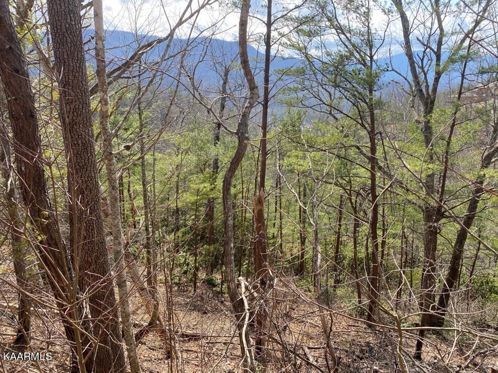 5 Old Field Ridge Way Gatlinburg, TN 37738 - Photo 1 of 14 254797_0