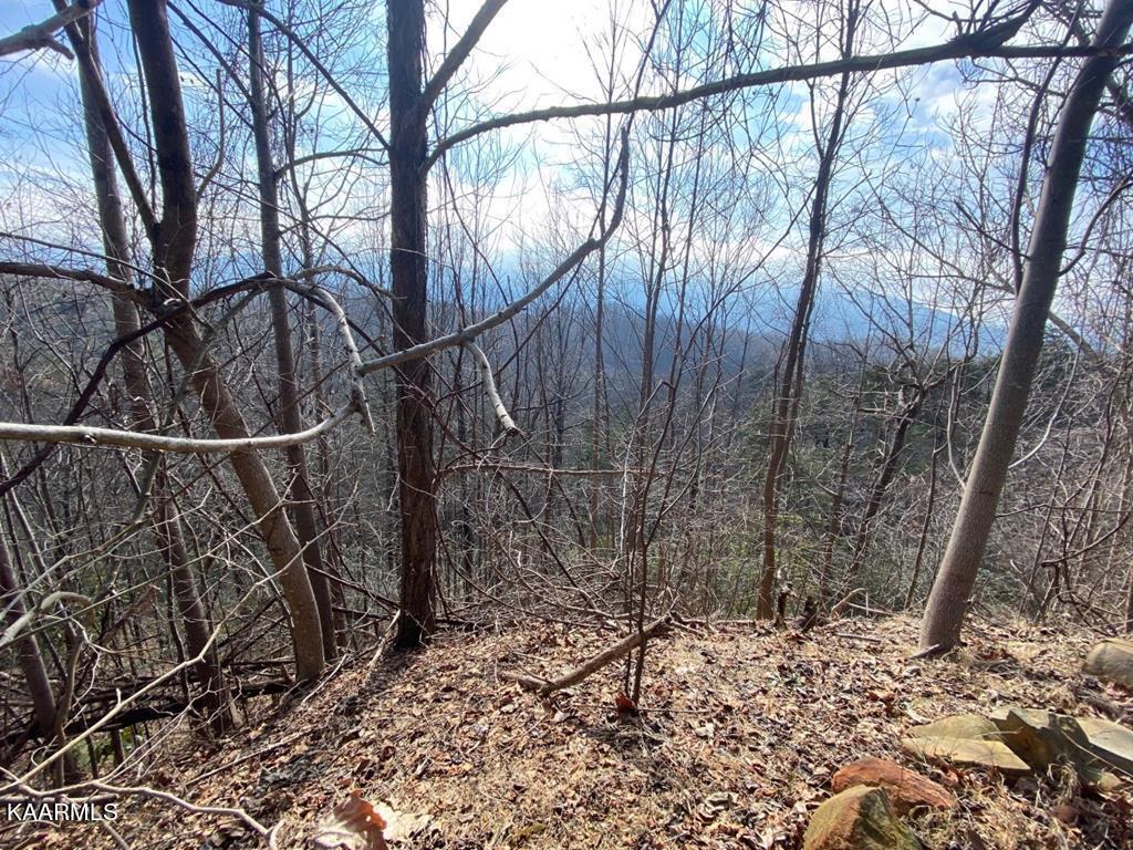 5 Old Field Ridge Way Gatlinburg, TN 37738 - Photo 12 of 14 254797_10