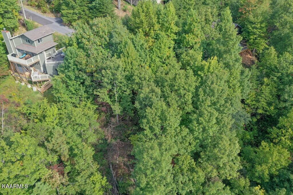 5 Old Field Ridge Way Gatlinburg, TN 37738 - Photo 7 of 14 254797_2
