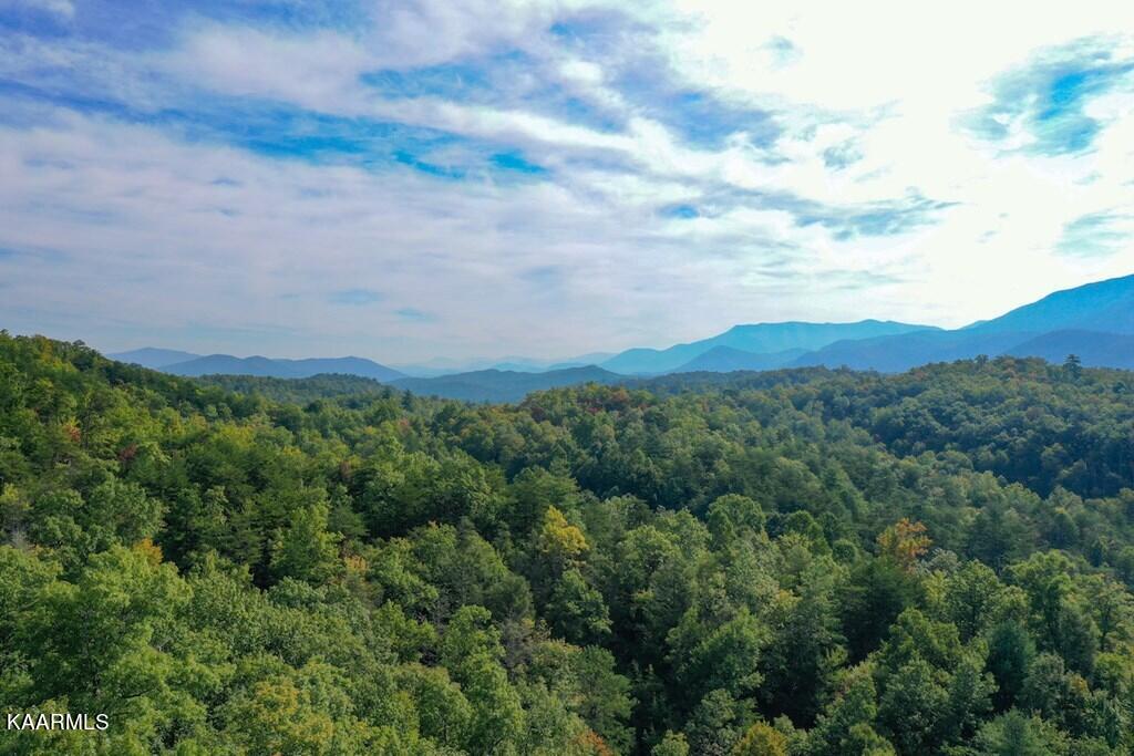 5 Old Field Ridge Way Gatlinburg, TN 37738 - Photo 8 of 14 254797_8