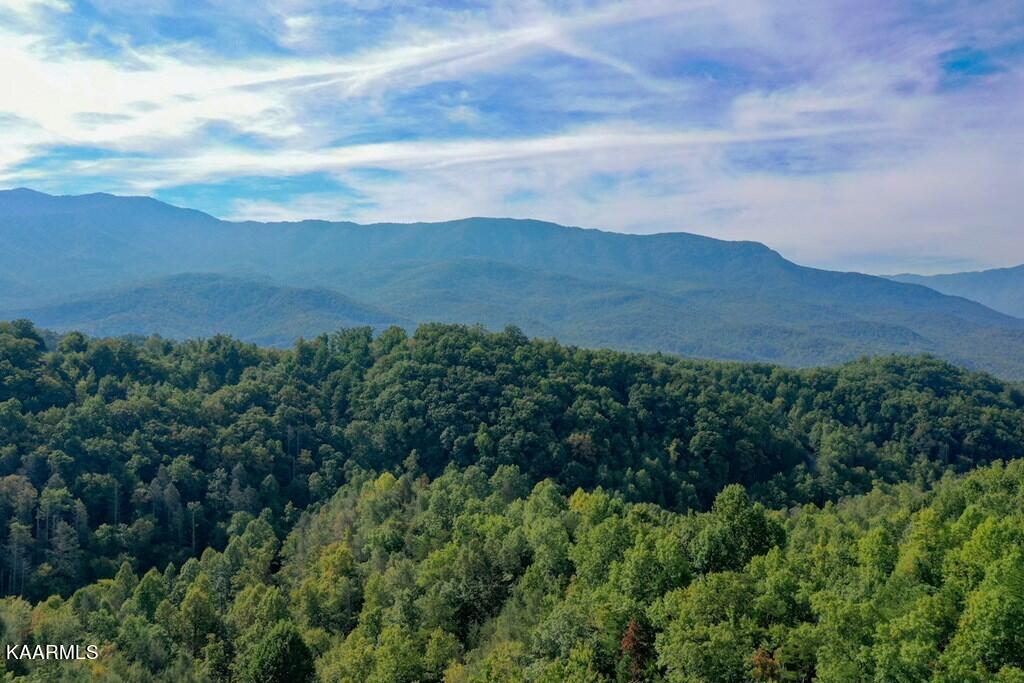5 Old Field Ridge Way Gatlinburg, TN 37738 - Photo 9 of 14 254797_4