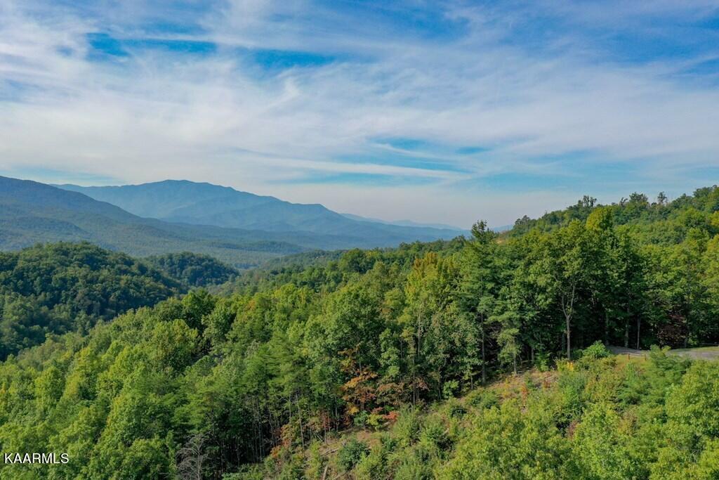 5 Old Field Ridge Way Gatlinburg, TN 37738 - Photo 10 of 14 254797_6