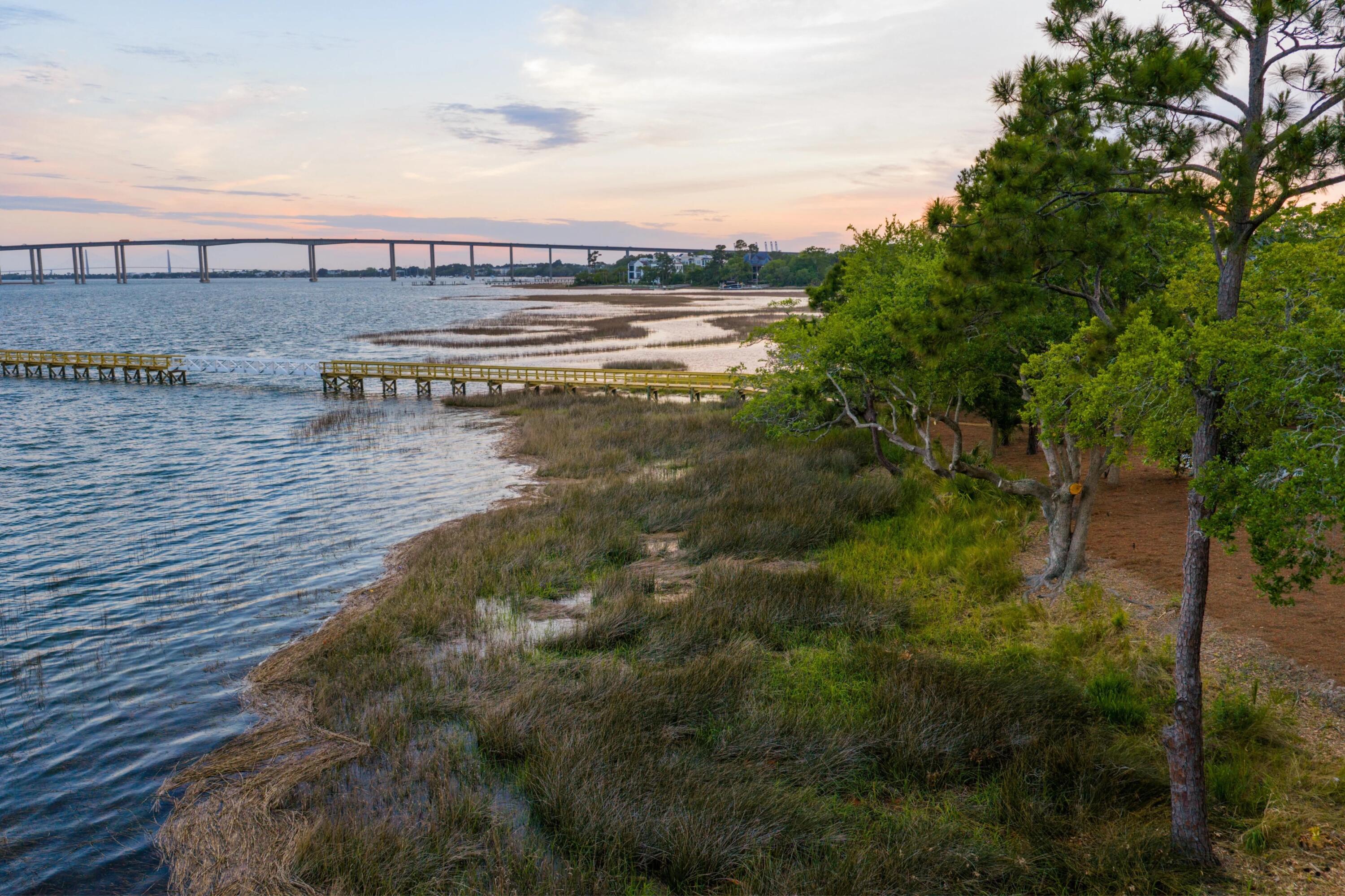 401 Wayfaring Point Daniel Island, SC 29492 - Photo 135 of 155