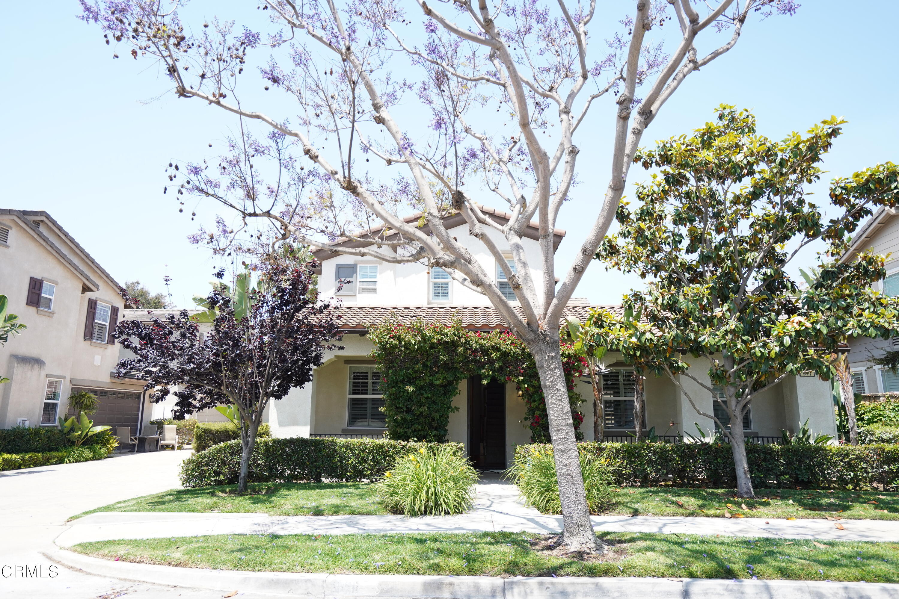 341 Spring Park Road Camarillo, CA 93012 - Photo 37 of 43 front view of a house with a tree