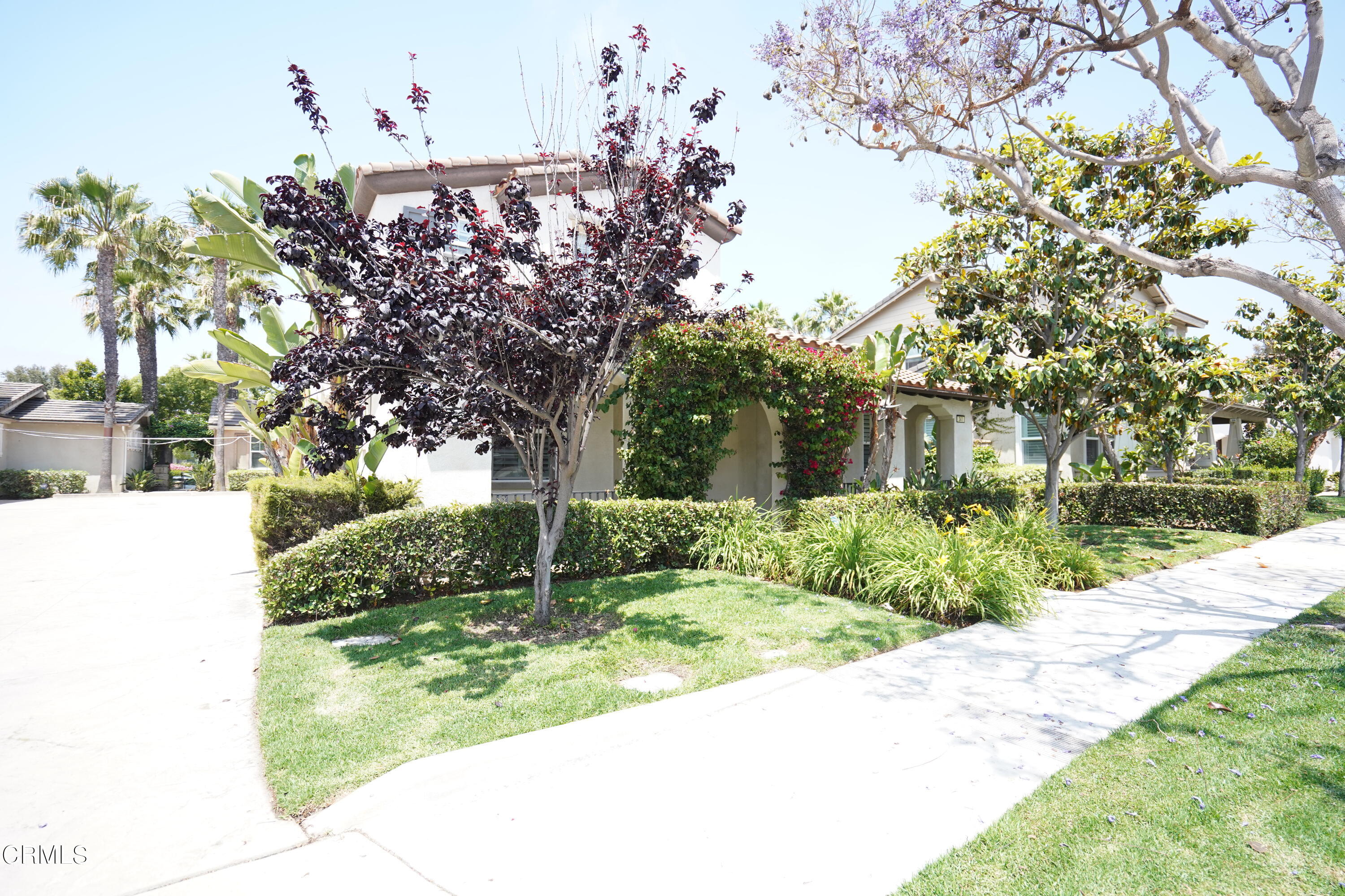 341 Spring Park Road Camarillo, CA 93012 - Photo 39 of 43 a view of a house with a tree in the background