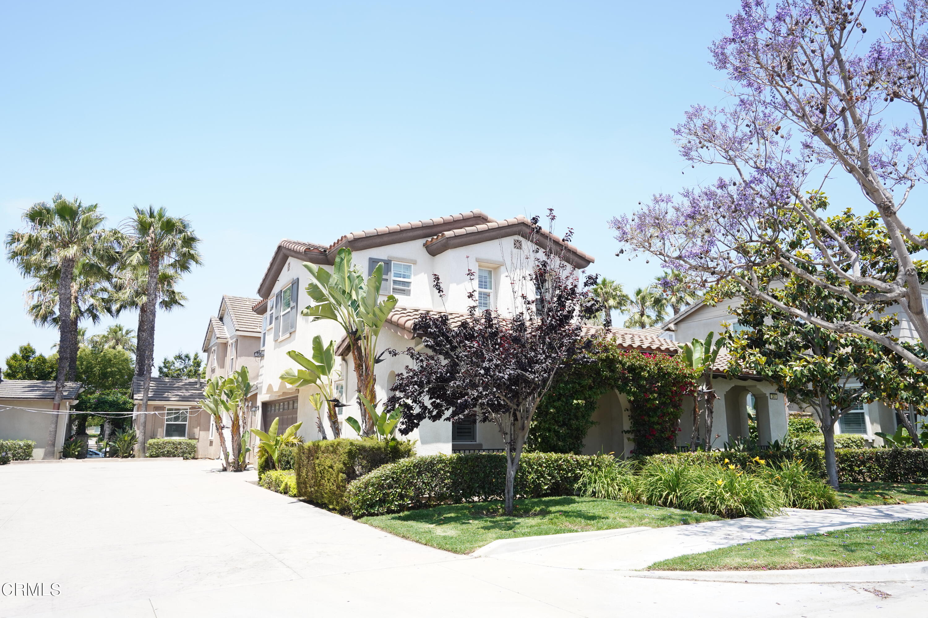 341 Spring Park Road Camarillo, CA 93012 - Photo 41 of 43 a view of a house with a yard and potted plants