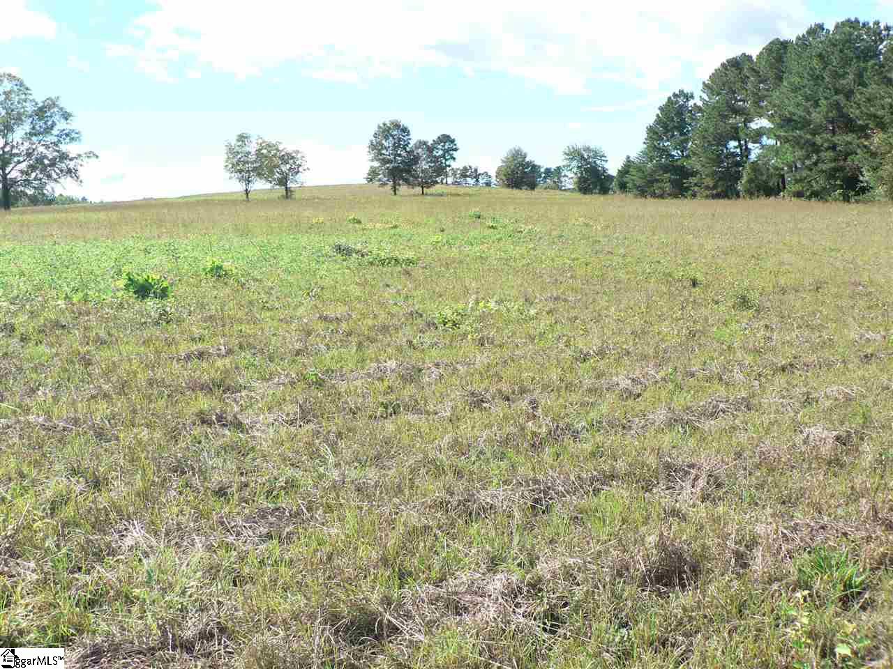 0 Thomas Mill Road, Unit LOT 5 Easley, SC 29640 - Photo 1 of 8