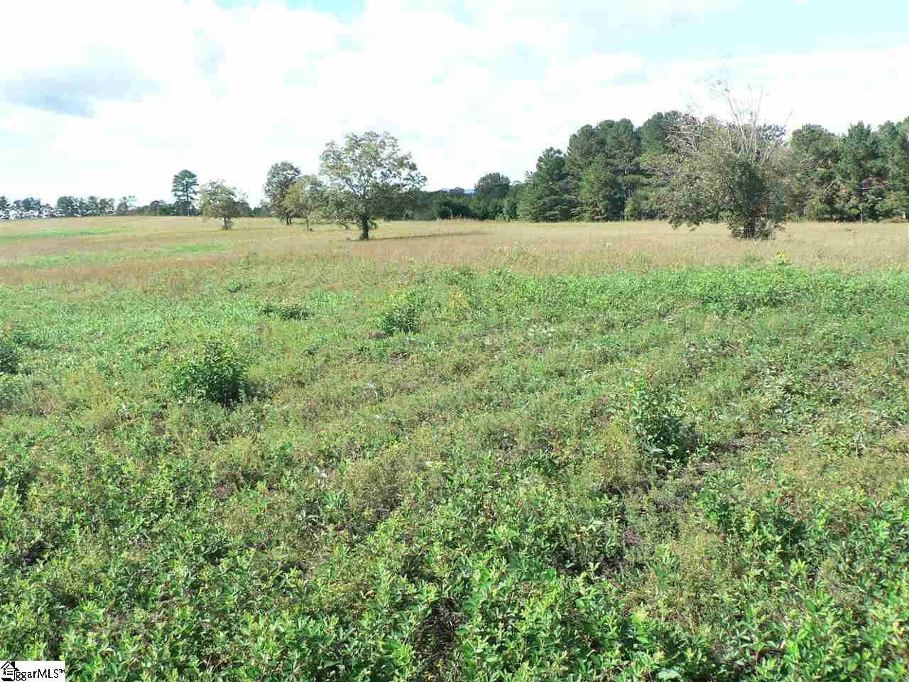 0 Thomas Mill Road, Unit LOT 5 Easley, SC 29640 - Photo 4 of 8