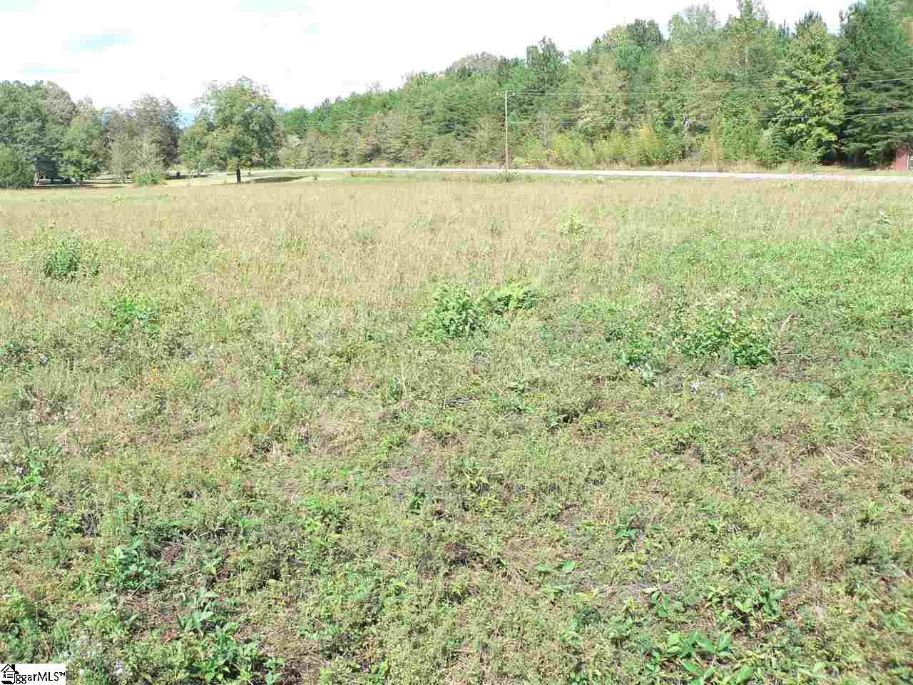 0 Thomas Mill Road, Unit LOT 5 Easley, SC 29640 - Photo 5 of 8