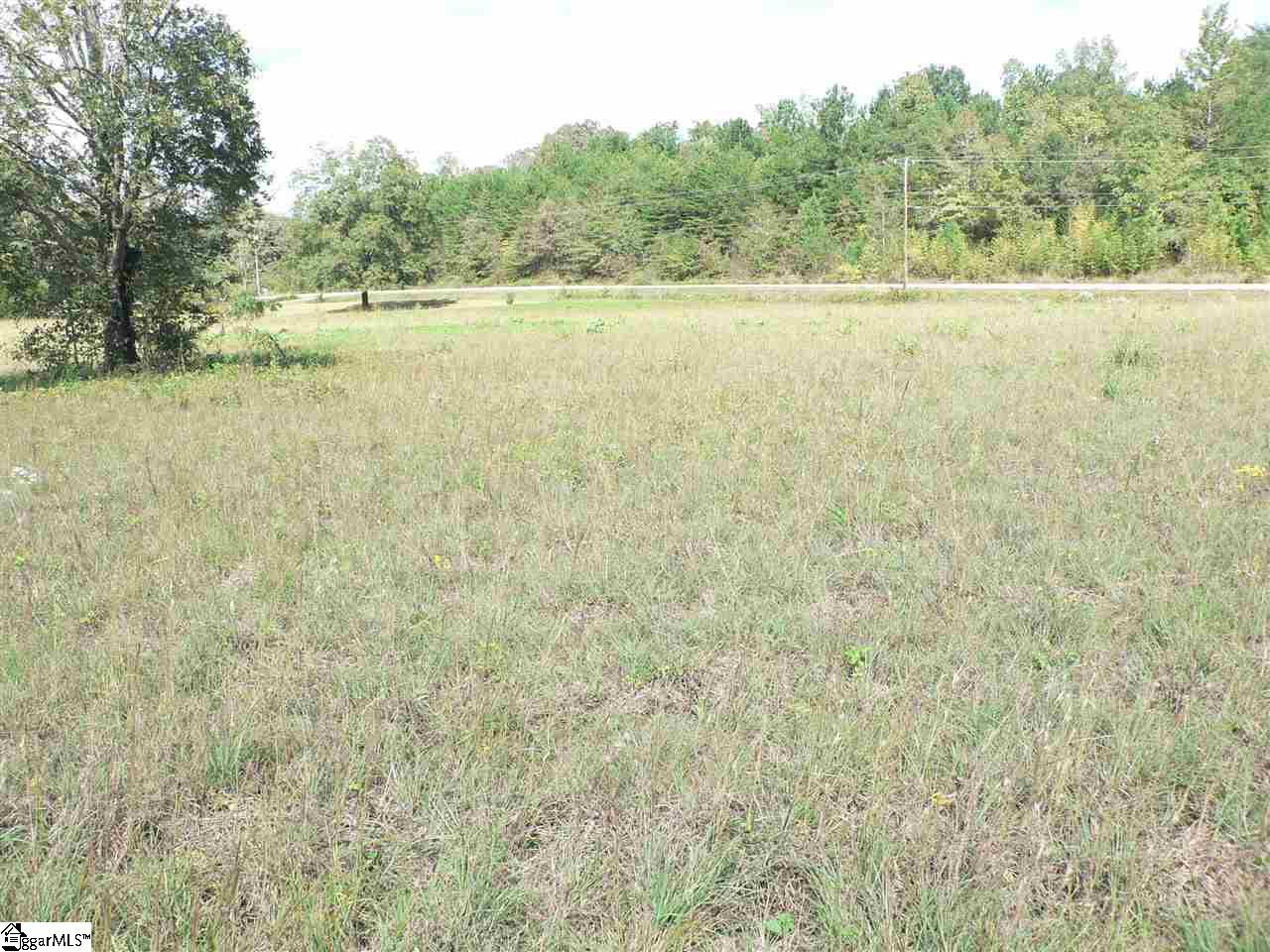 0 Thomas Mill Road, Unit LOT 5 Easley, SC 29640 - Photo 7 of 8