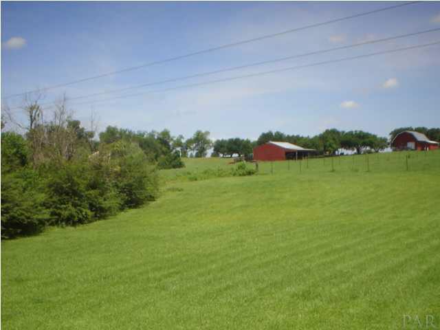 118 Rumford Road Molino, FL 32577 - Photo 3 of 3 Large backyard presents quiet country setting