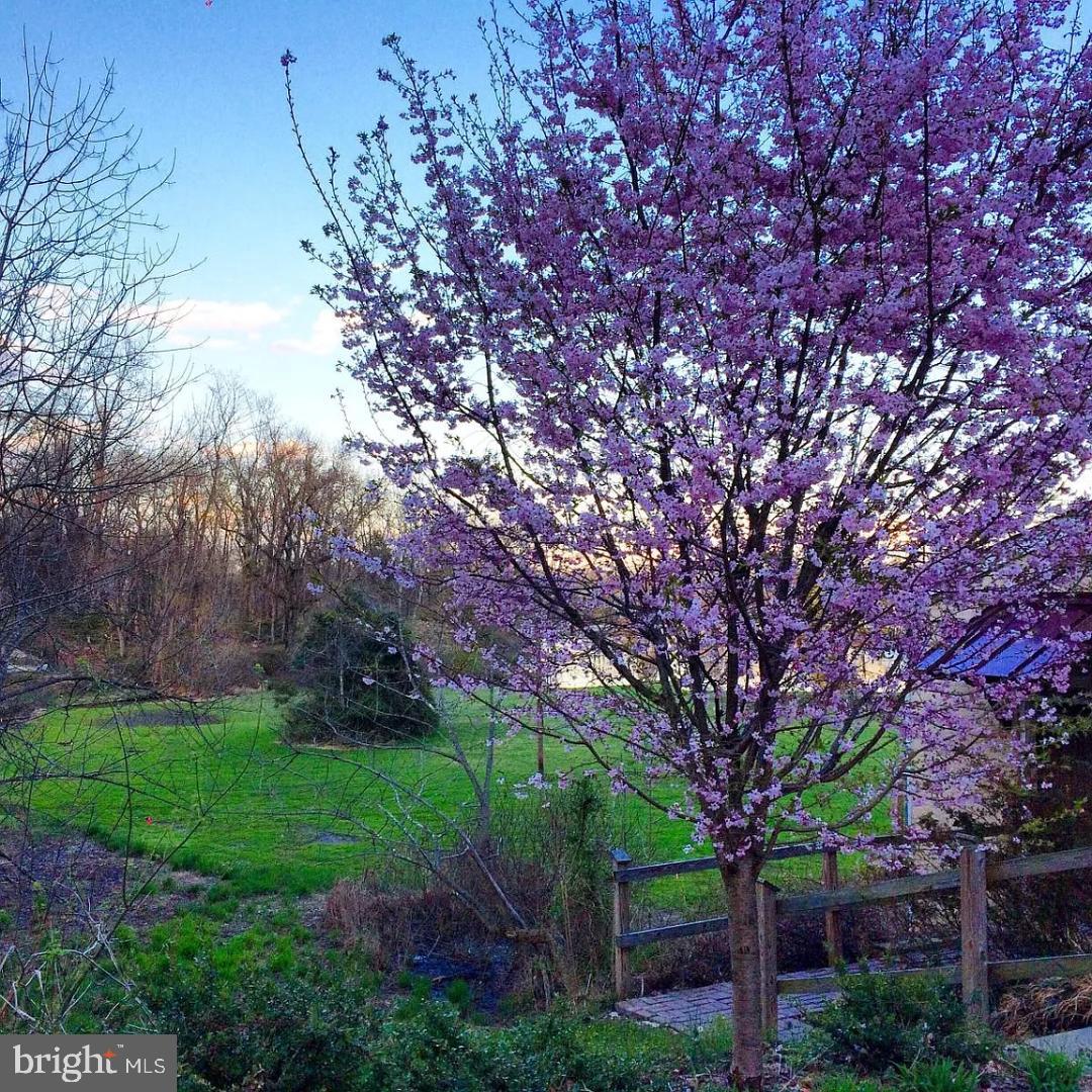 85 Valley Road, Unit 1 Phoenixville, PA 19460 - Photo 3 of 28 a view of a tree in front of a house