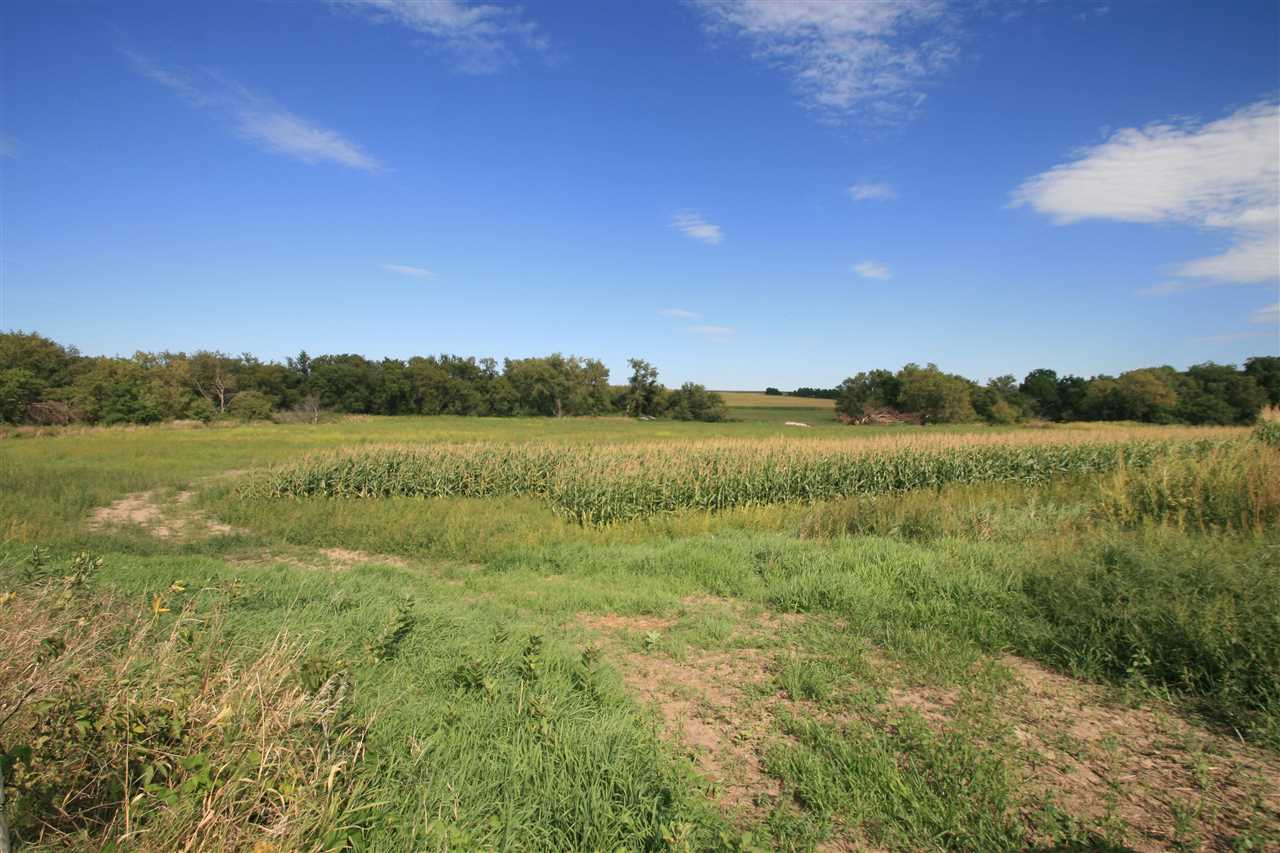 296-acres Gunder Road Postville, IA 52162 - Photo 17 of 21 Gallery Image 17