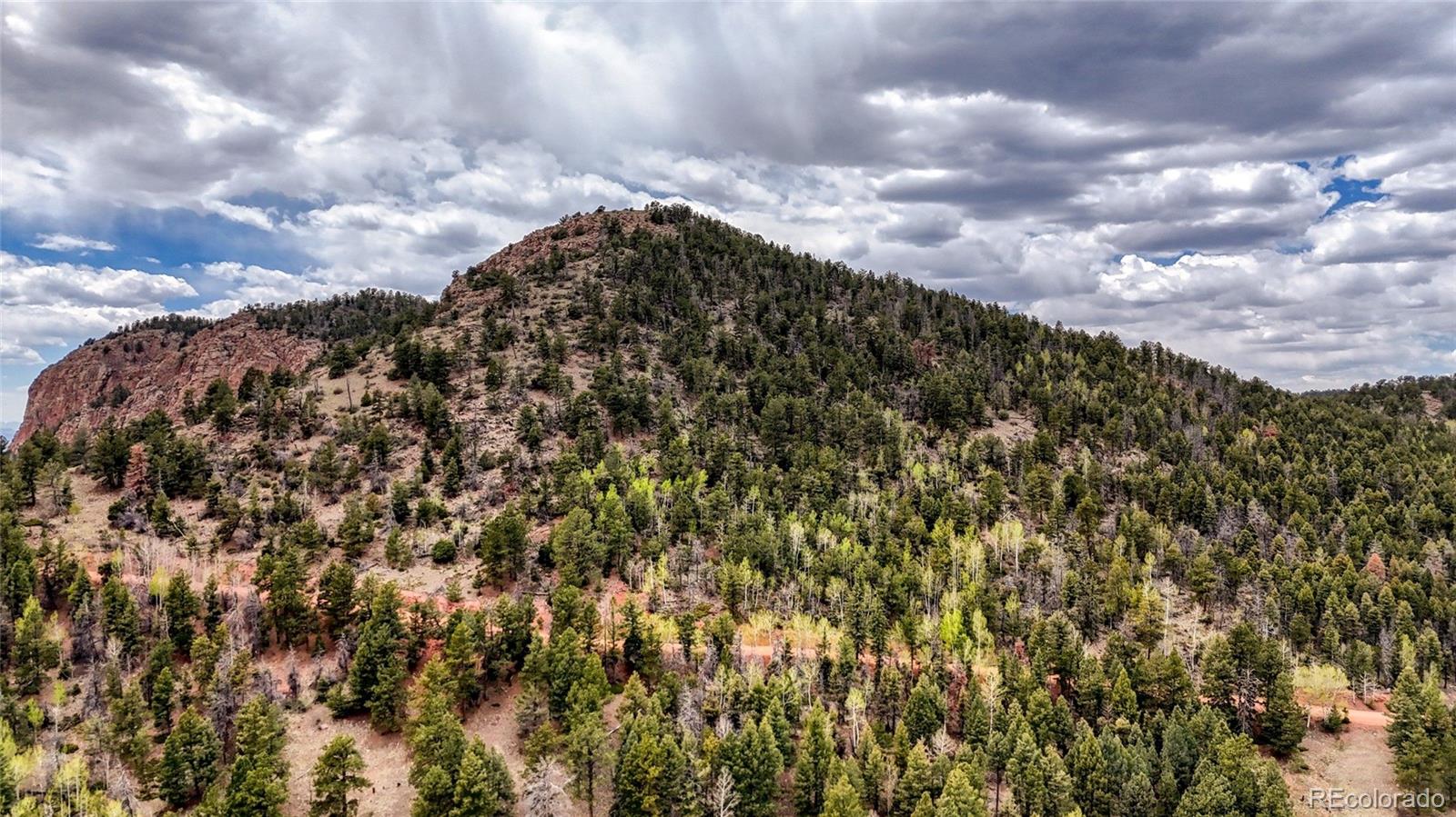 281 Nickel Plate Road Cripple Creek, CO 80813 - Photo 16 of 16