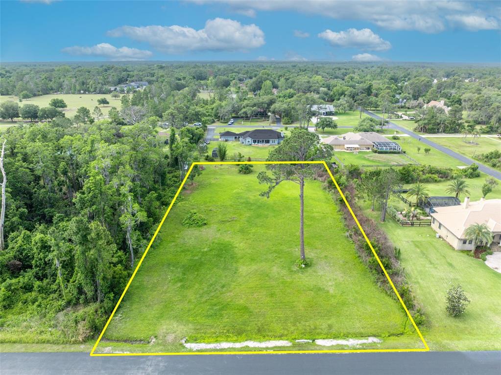Mill Pond Road Tavares, FL 32778 - Photo 1 of 9