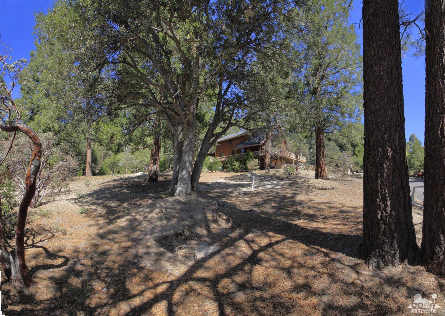 0 Big Pine Street Idyllwild, CA 92549 - Photo 1 of 8 a view of a yard with plants and trees