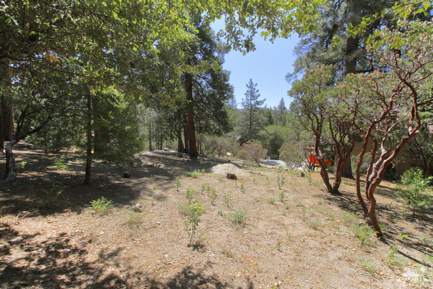 0 Big Pine Street Idyllwild, CA 92549 - Photo 3 of 8 a view of a yard with trees