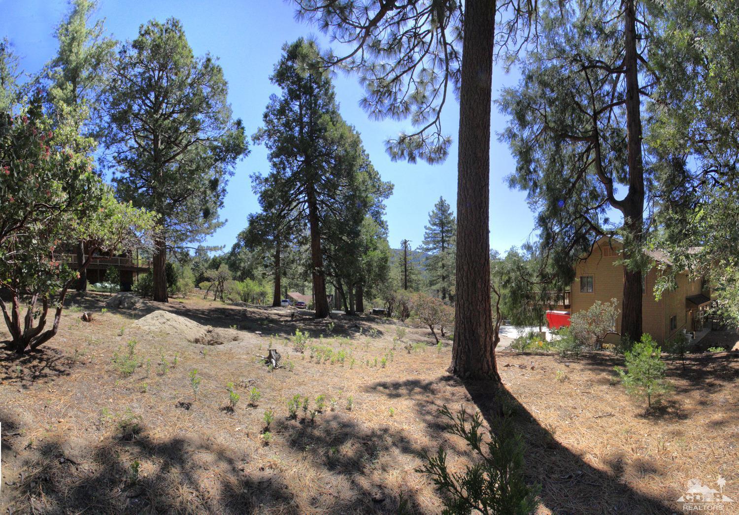 0 Big Pine Street Idyllwild, CA 92549 - Photo 8 of 8 a view of a yard with snow on the road