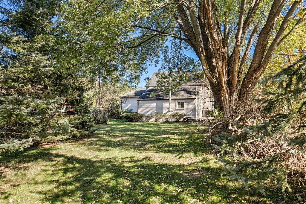 154 Findley Street New Baltimore, PA 15553 - Photo 22 of 32 a tall tree in middle of green field
