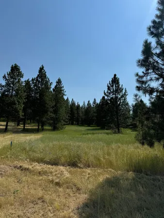 $48,000 | 498-xx East Forest Drive, Davenport, WA 99122