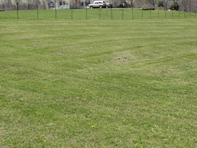 4004 Martins Chapel Road Springfield, TN 37172 - Photo 3 of 18