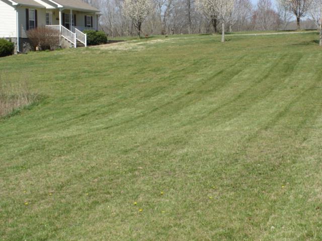 4004 Martins Chapel Road Springfield, TN 37172 - Photo 4 of 18