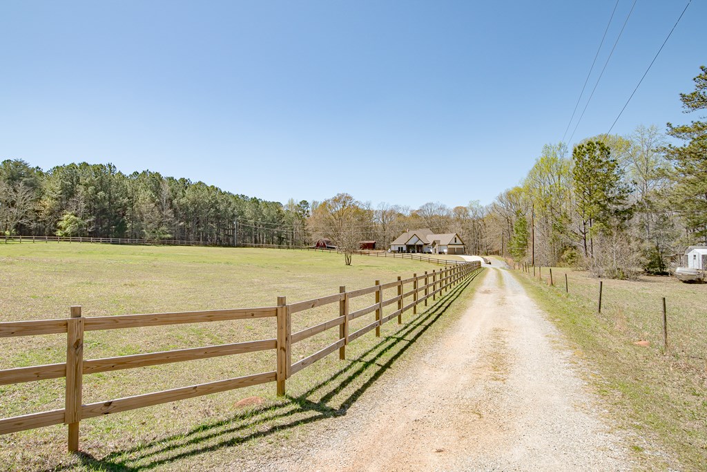 636 Judson Bulloch Road Warm Springs, GA 31830 - Photo 2 of 72 Driveway