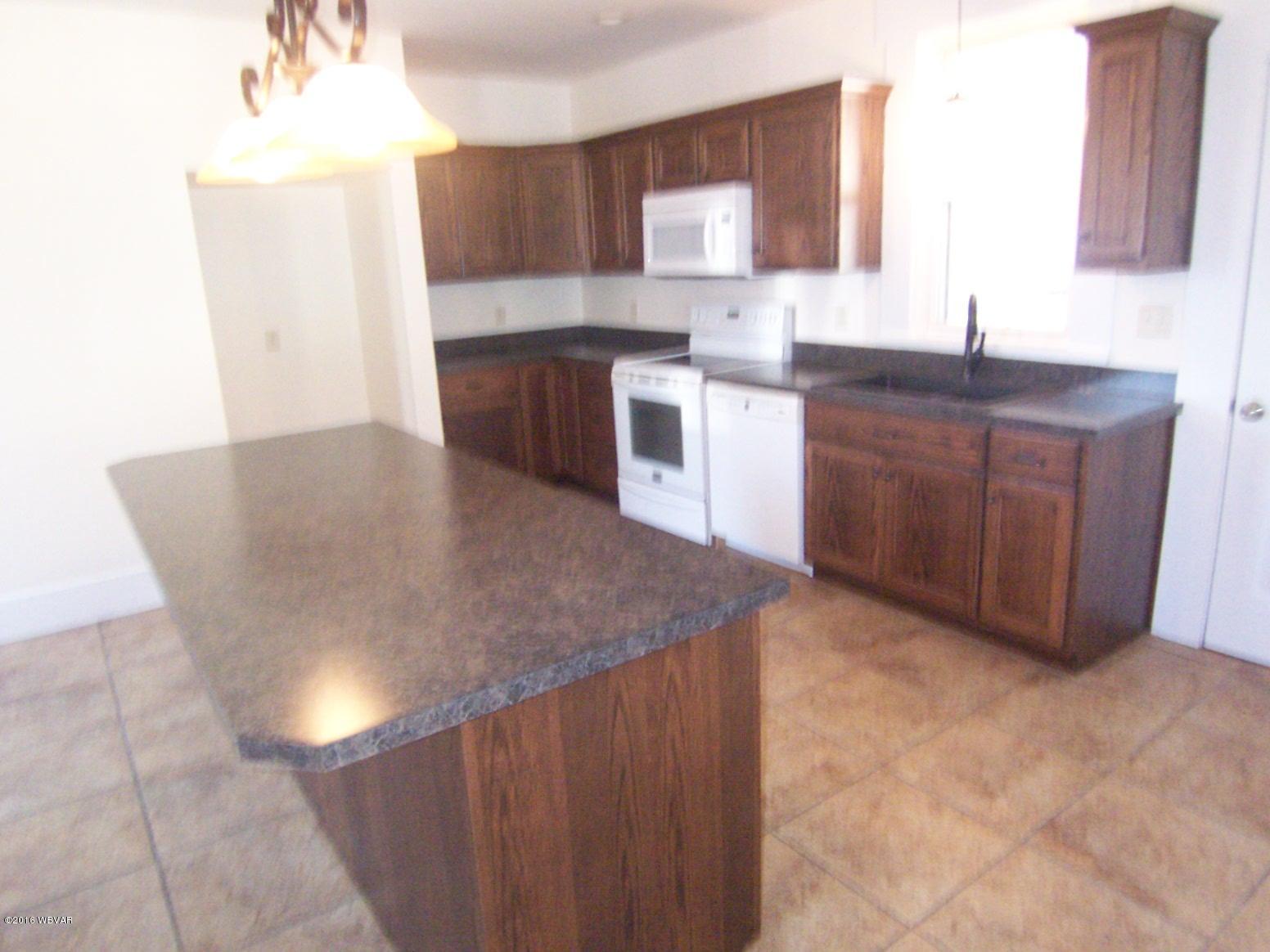 886 Long Run Road Mill Hall, PA 17751 - Photo 4 of 41 103_2101