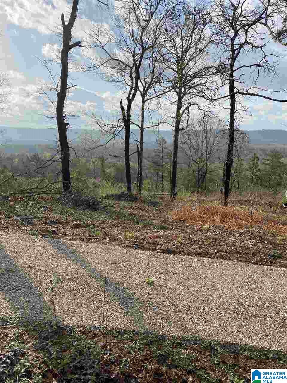 8150 Dunnavant Road, Unit 1 Leeds, AL 35094 - Photo 24 of 29