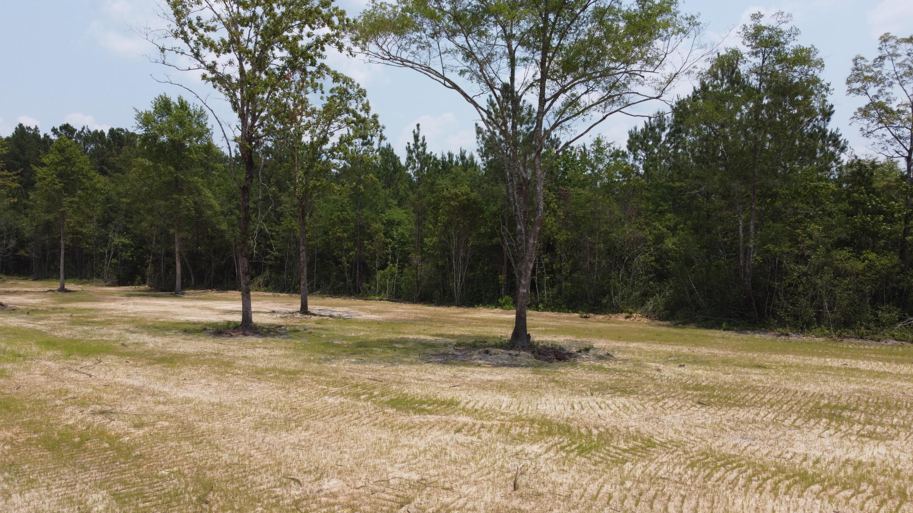 4 Steed Creek Road Huger, SC 29450 - Photo 9 of 15 DJI_0661
