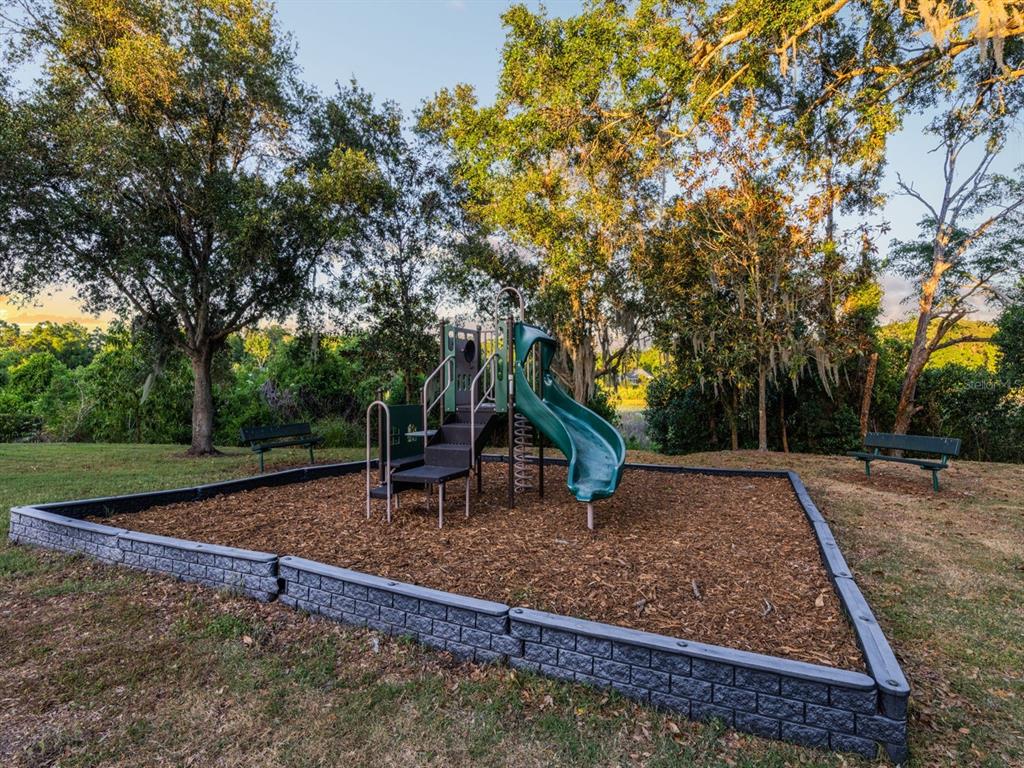 925 Counts Crest Circle Apopka, FL 32712 - Photo 36 of 36 a backyard of a house with wooden floor barbeque oven and trees