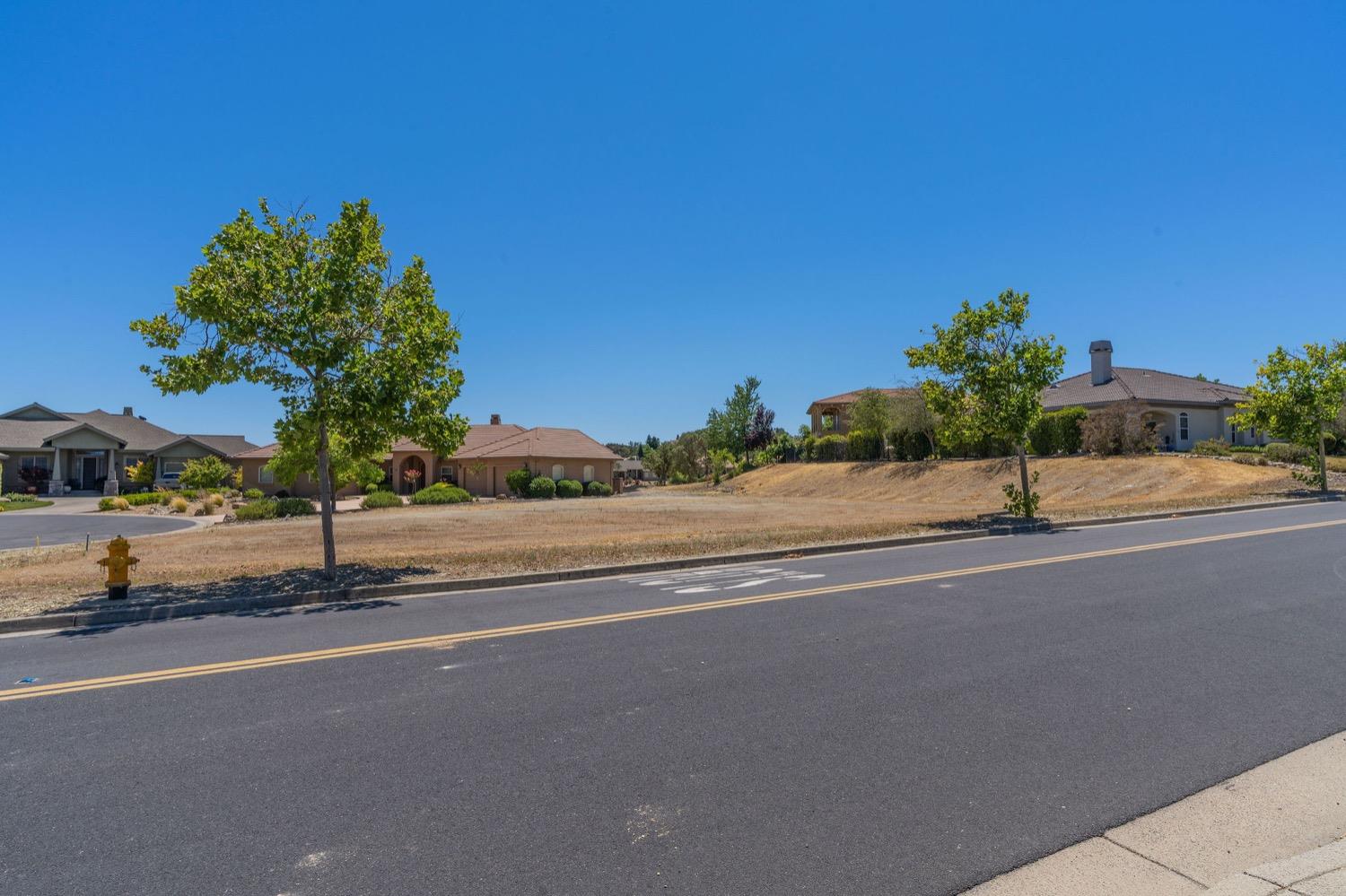 10 Flagstone Court, Unit 1 COPPER RIDGE 32 Copperopolis, CA 95228 - Photo 17 of 31 a palm tree sitting on the side of a street