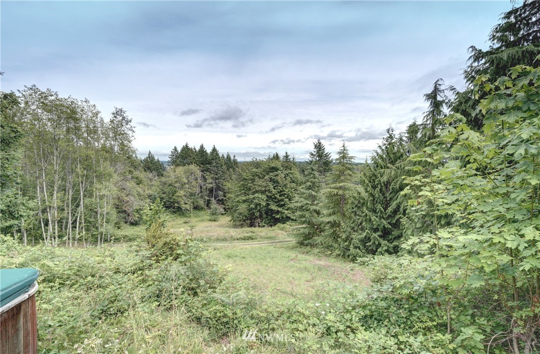 3993 East Grapeview Loop Road Grapeview, WA 98546 - Photo 3 of 25 Gallery Image 3