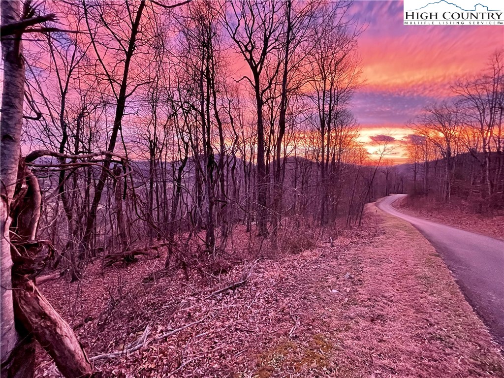 Lot#39 Westfield Drive Crumpler, NC 28617 - Photo 11 of 15 a backyard of a house