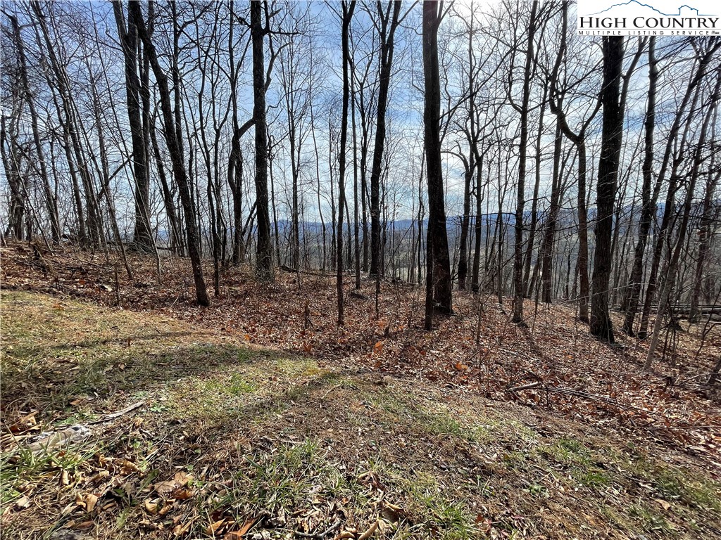 Lot#39 Westfield Drive Crumpler, NC 28617 - Photo 2 of 15 a view of outdoor space with trees