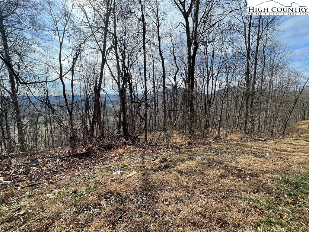 Lot#39 Westfield Drive Crumpler, NC 28617 - Photo 3 of 15 a view of a backyard of the house
