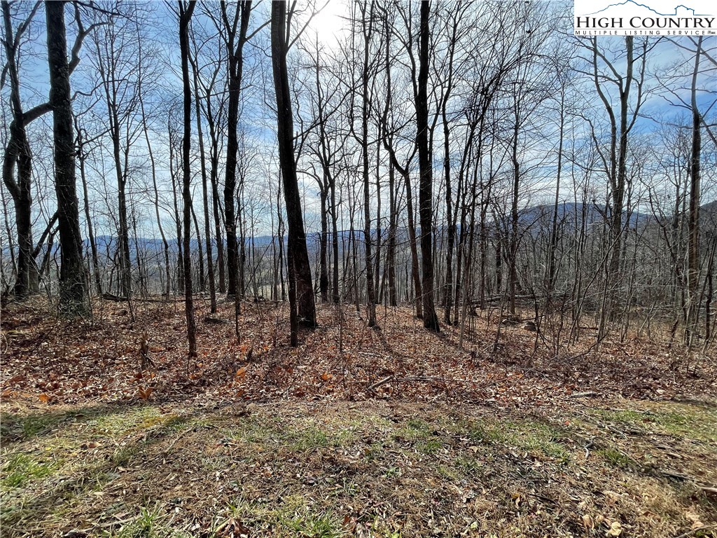 Lot#39 Westfield Drive Crumpler, NC 28617 - Photo 4 of 15 a view of outdoor space with lots of trees