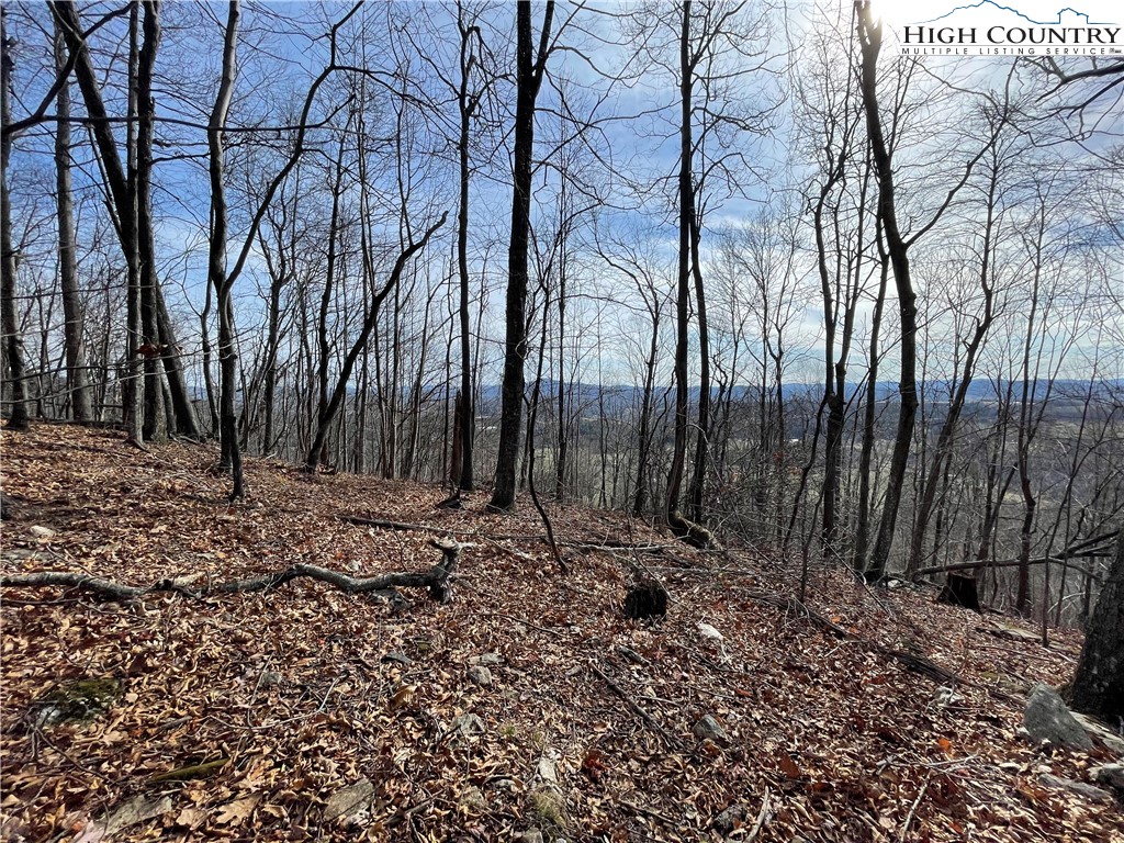 Lot#39 Westfield Drive Crumpler, NC 28617 - Photo 6 of 15 a backyard of a house with lots of green space