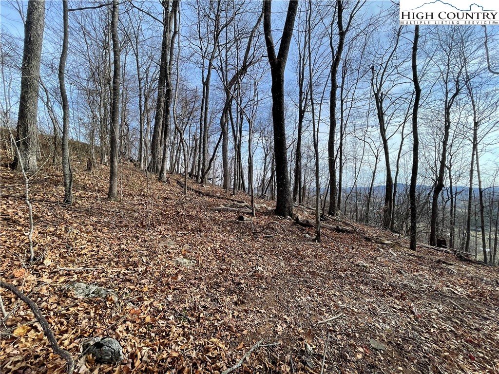 Lot#39 Westfield Drive Crumpler, NC 28617 - Photo 7 of 15 a backyard of a house with lots of green space