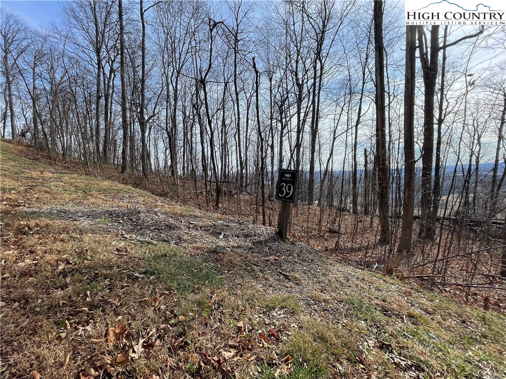 Lot#39 Westfield Drive Crumpler, NC 28617 - Photo 8 of 15 a view of backyard with green space