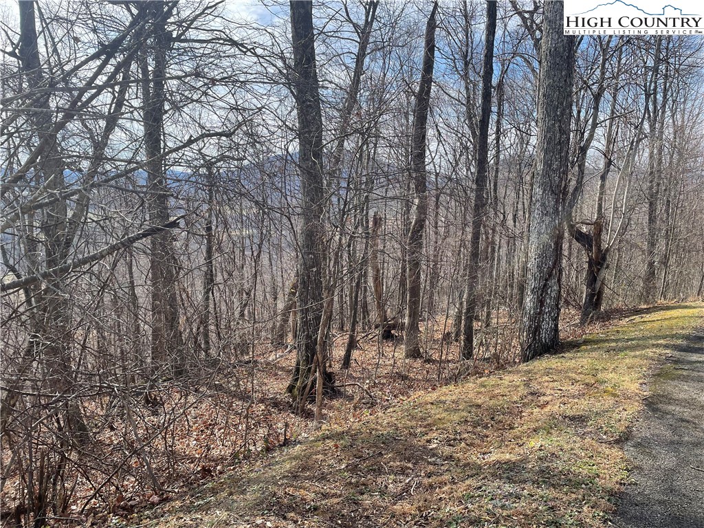 Lot#39 Westfield Drive Crumpler, NC 28617 - Photo 9 of 15 a view of wooden fence of a house