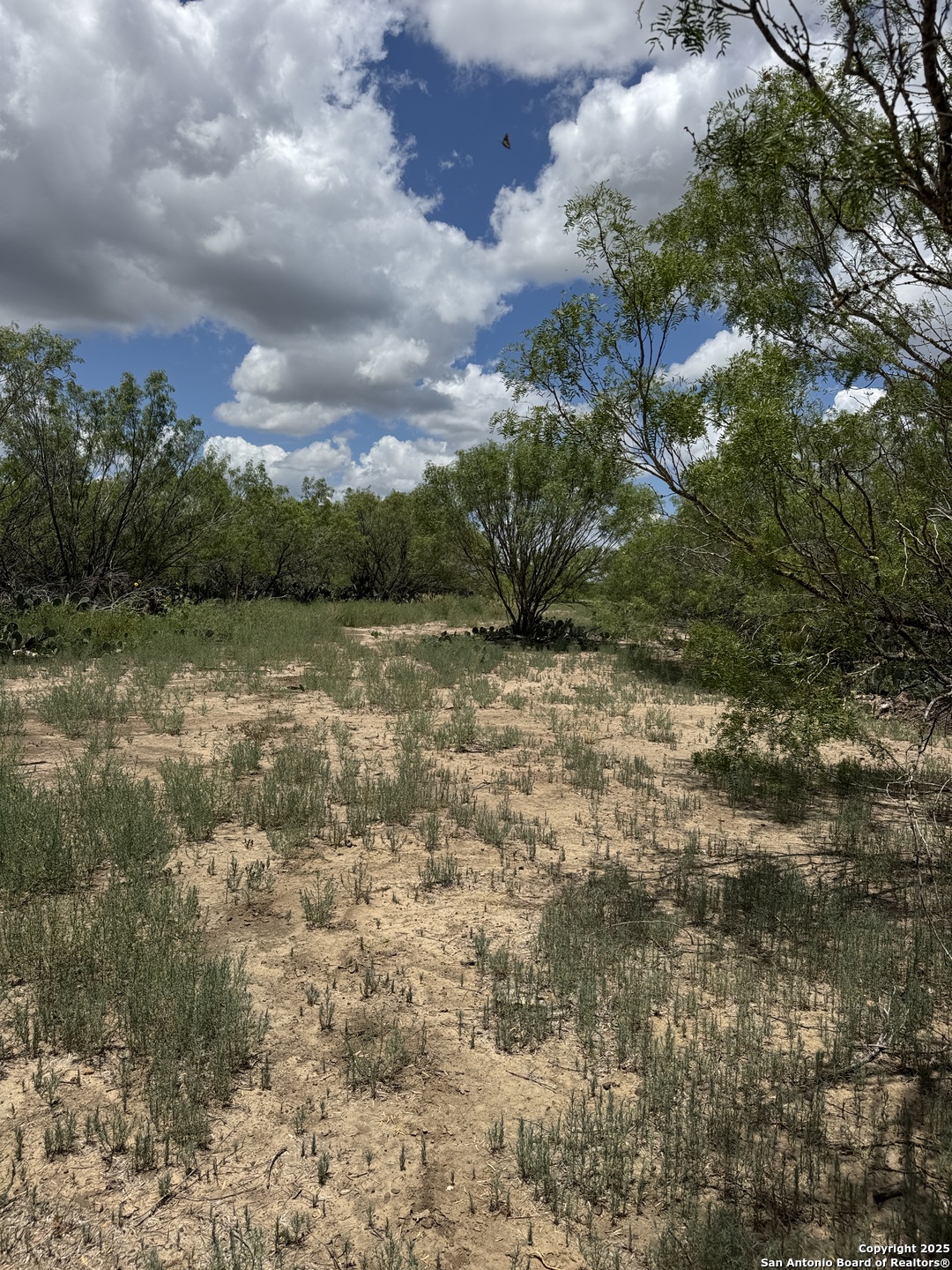 7 Windmill Ranchettes Cr 329 Jourdanton, TX 78026 - Photo 2 of 4 a view of a lake with houses